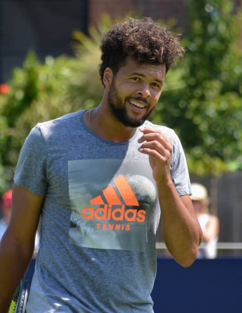 Jo-Wilfried Tsonga en 2017